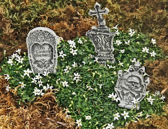 MulberryCreekGraveyard
