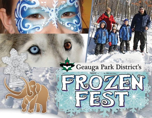 FrozenFest