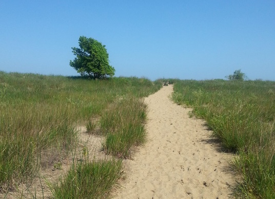 Headlands