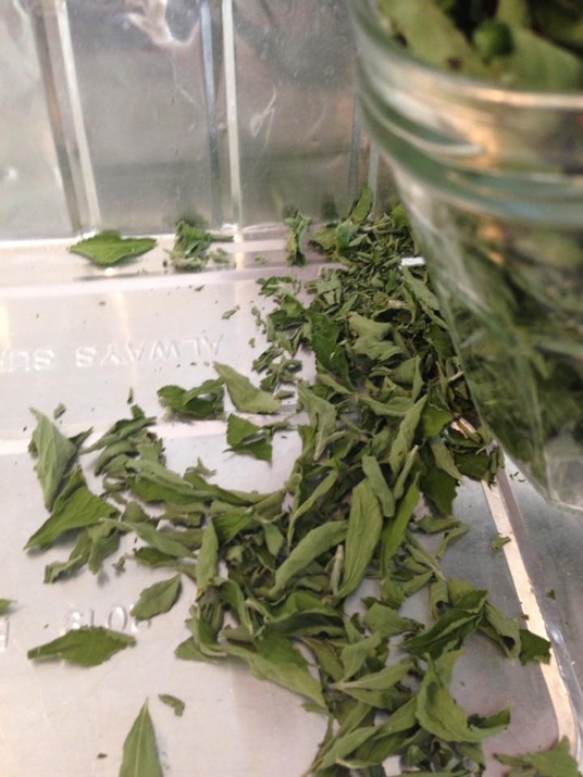 sustenancewesternreserveherbfair