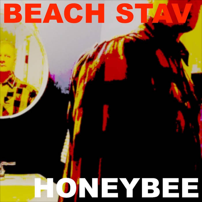 beach stav honey bee