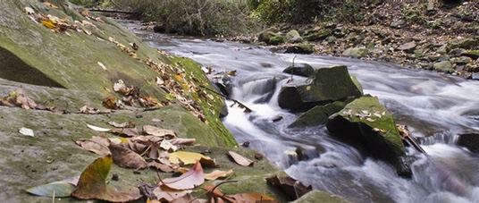 Doan Brook amenities panned at Cleveland Heights council; Cedar Hill down  to one lane for seven weeks 