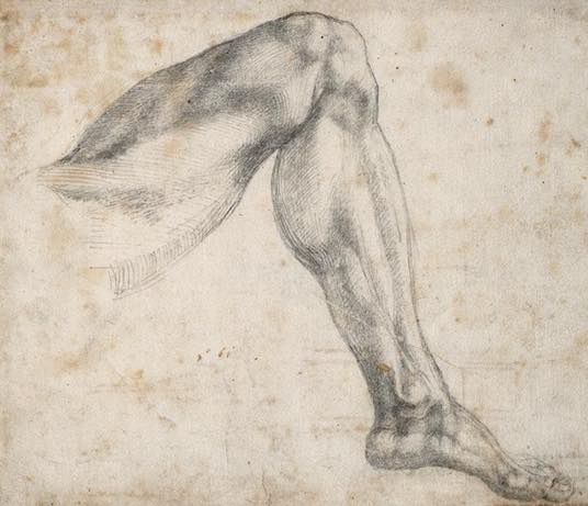 Art Museum’s Monthly MIX Party Looks at Michelangelo and Anatomy
