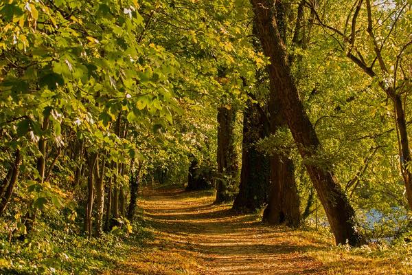 Plan a Fall Hiking Spree with Summit Metro Parks | CoolCleveland