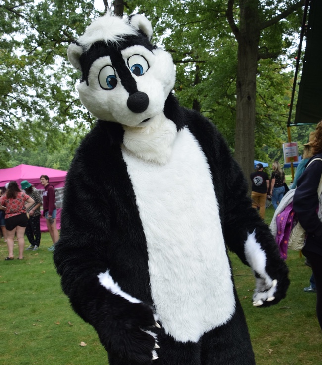 The Skunks Are Back at North Ridgeville's South Central Park for Skunkfest