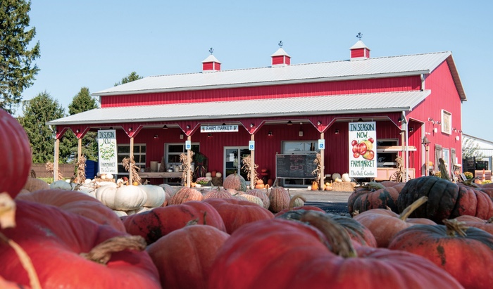 Chef's Garden Celebrates the Harvest with a Festival