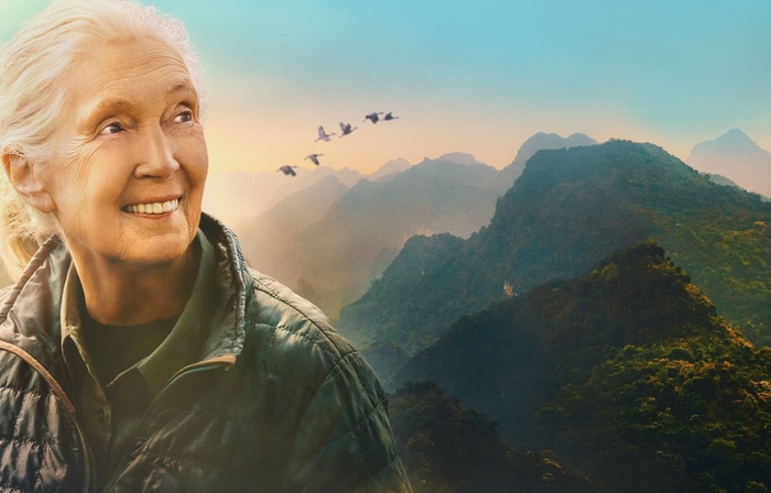 Jane Goodall Is Remembered in Film Screening at Cleveland Museum of Natural History