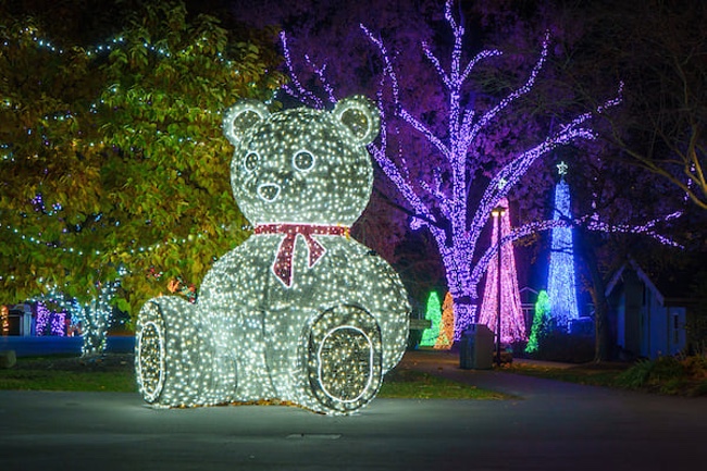 Take a Holiday Trip to the Zoo for Wild Winter Lights