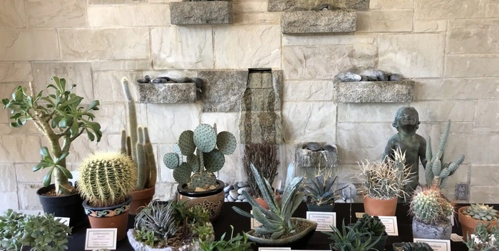 Midwest Cactus and Succulent Society Hosts Show and Sale at CBG