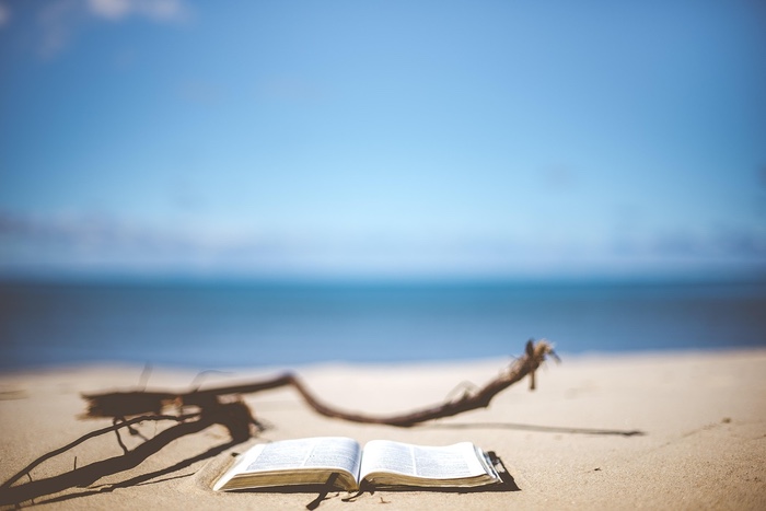 Literary Mavens Share Ideas for Summer Reading at Happy Dog Forum