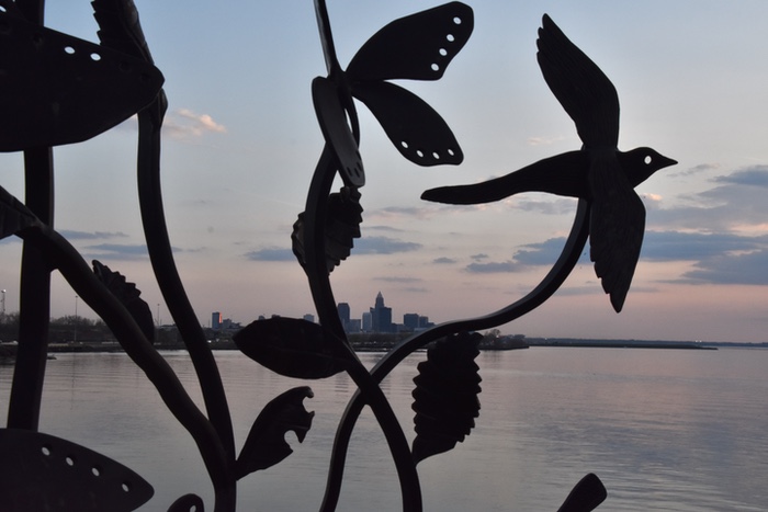 Learn About Art on the Lakefront at Assembly for the Arts Quarterly Meeting