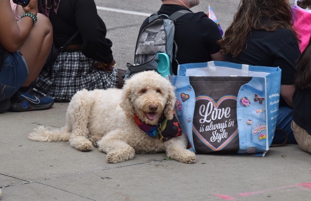 PHOTOSTREAM: Pride in the CLE by Anastasia Pantsios