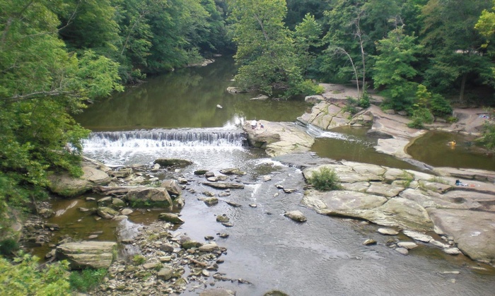 Help Remove Trash From Big Creek and Rocky River Watersheds