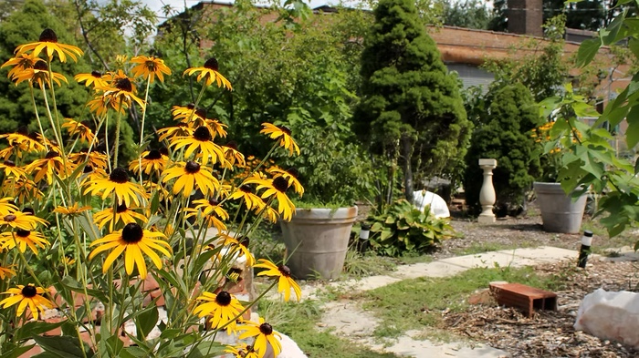 Morgan Conservatory Invites Volunteers to Join Them for "Beautification Day"