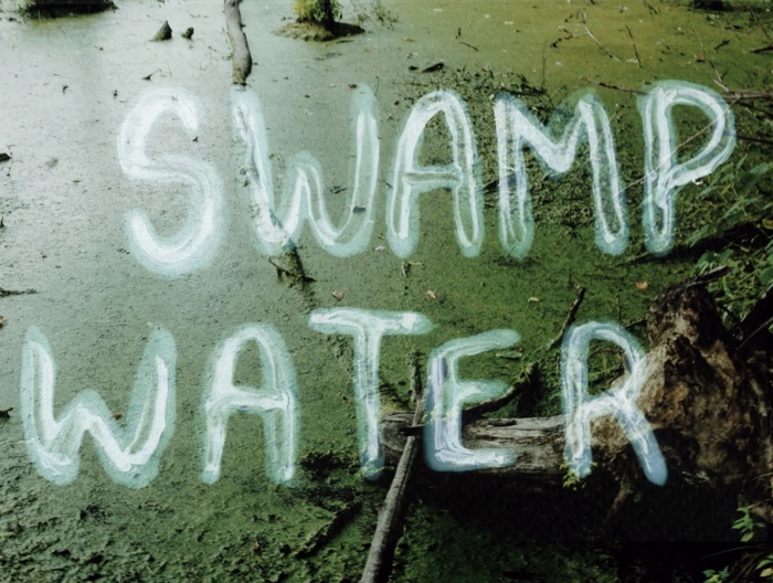 Artists Explore the Role of Wetlands at Zygote Press Show